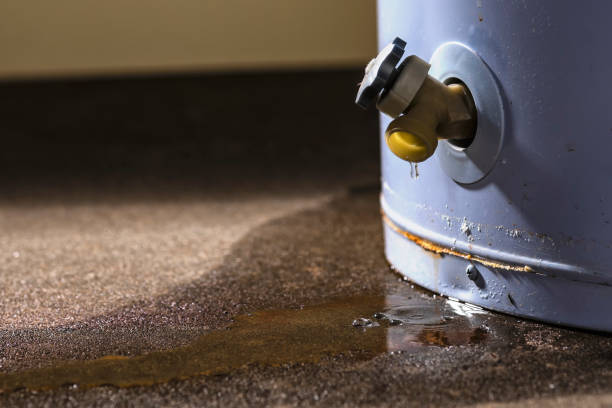 Best 24/7 water damage repair  in North Wales, PA