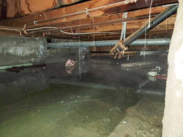 Best Water damage contractors near me  in North Wales, PA