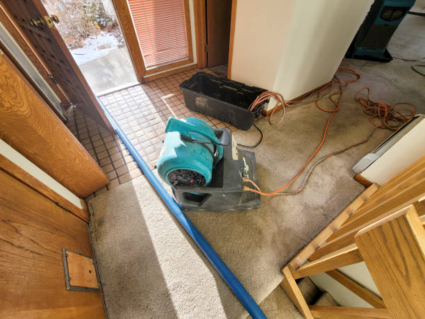 Best Water damage cleanup near me  in North Wales, PA