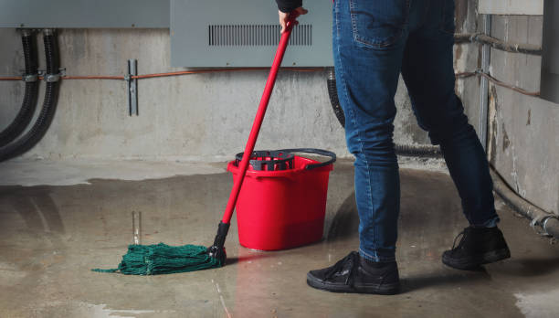 Best Water damage restoration near me  in North Wales, PA