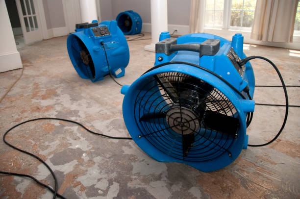 Best Mold removal after water damage  in North Wales, PA