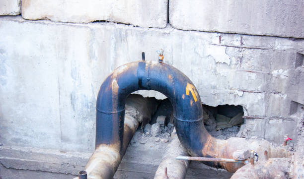 Best Professional water damage repair  in North Wales, PA