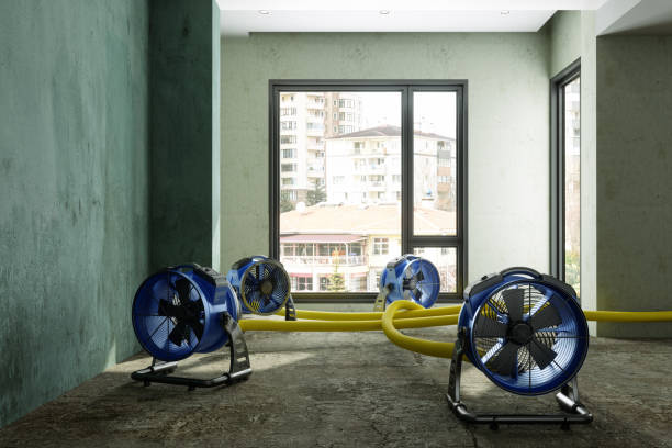  North Wales, PA Water damage restoration Pros